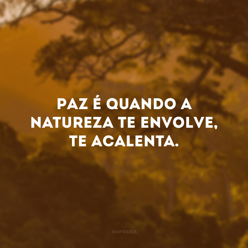 Paz é quando a natureza te envolve, te acalenta.