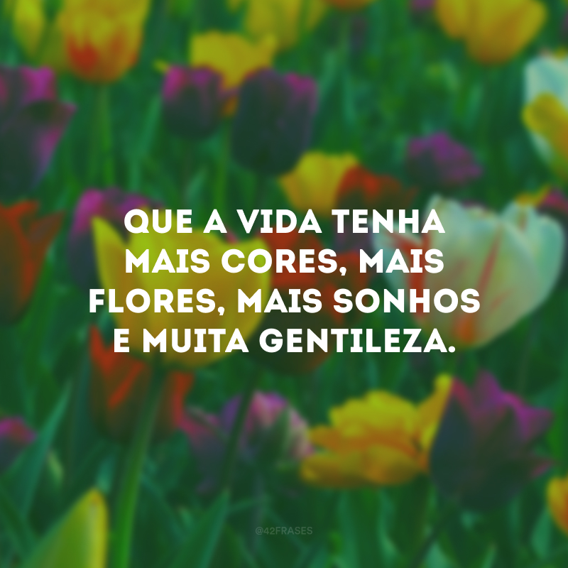 Que a vida tenha mais cores, mais flores, mais sonhos e muita gentileza.