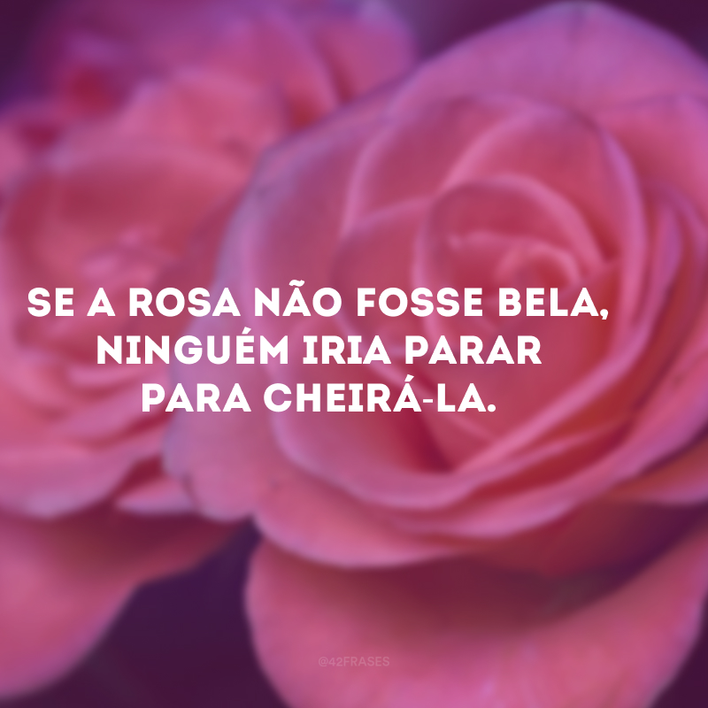 Se a rosa não fosse bela, ninguém iria parar para cheirá-la.