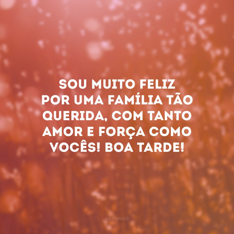 Sou muito feliz por uma família tão querida, com tanto amor e força como vocês! Boa tarde! 