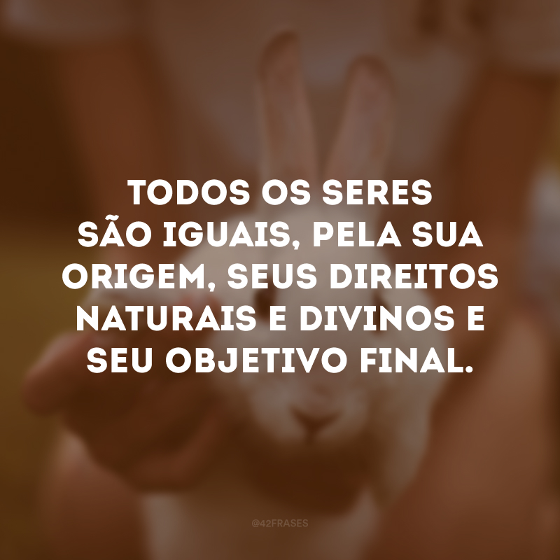 Todos os seres são iguais, pela sua origem, seus direitos naturais e divinos e seu objetivo final.