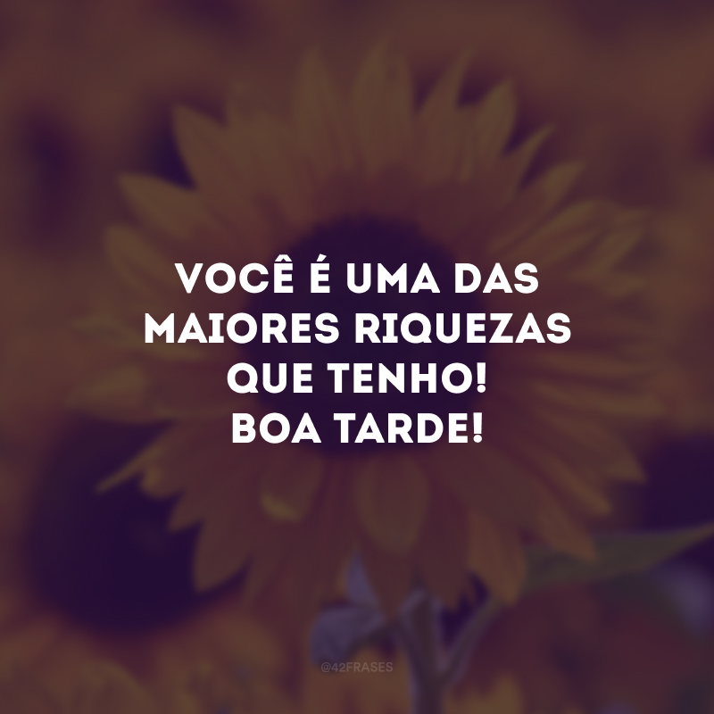 Você é uma das maiores riquezas que tenho! Boa tarde!