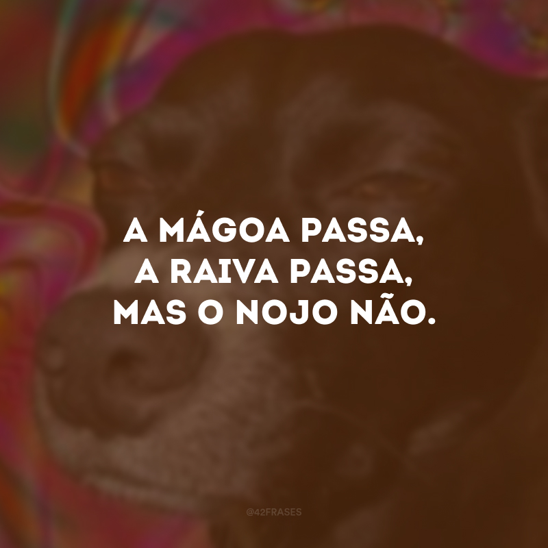 A mágoa passa, a raiva passa, mas o nojo não. 