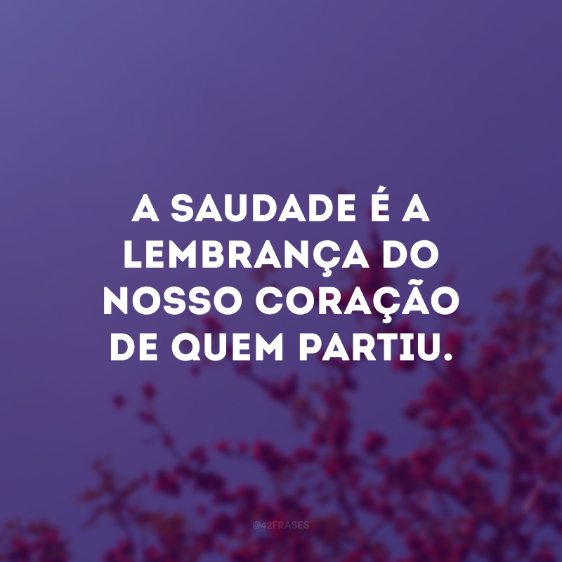 A saudade é a lembrança do nosso coração de quem partiu.