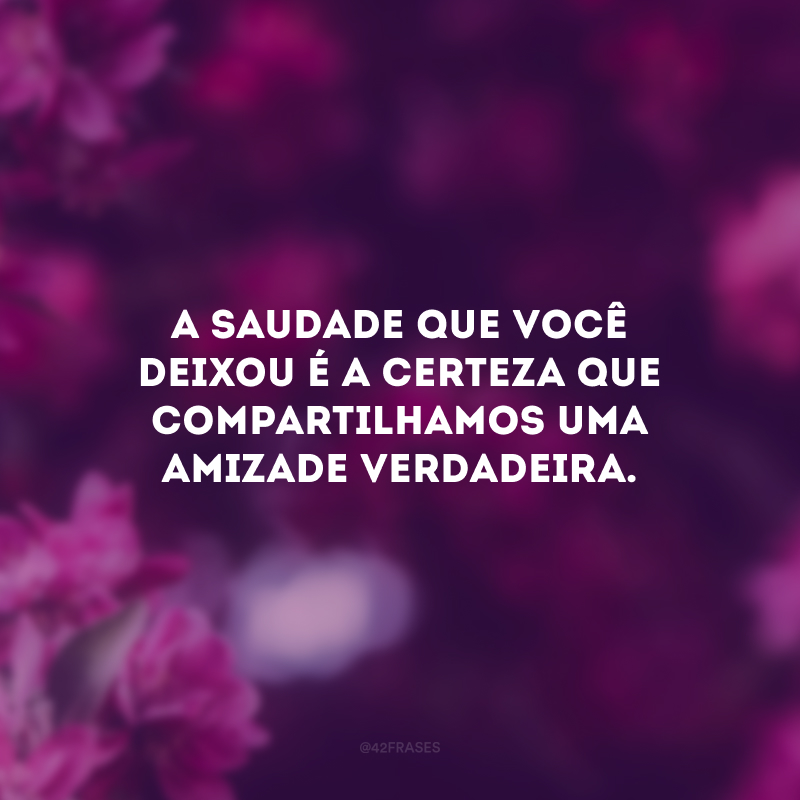 A saudade que você deixou é a certeza que compartilhamos uma amizade verdadeira. 