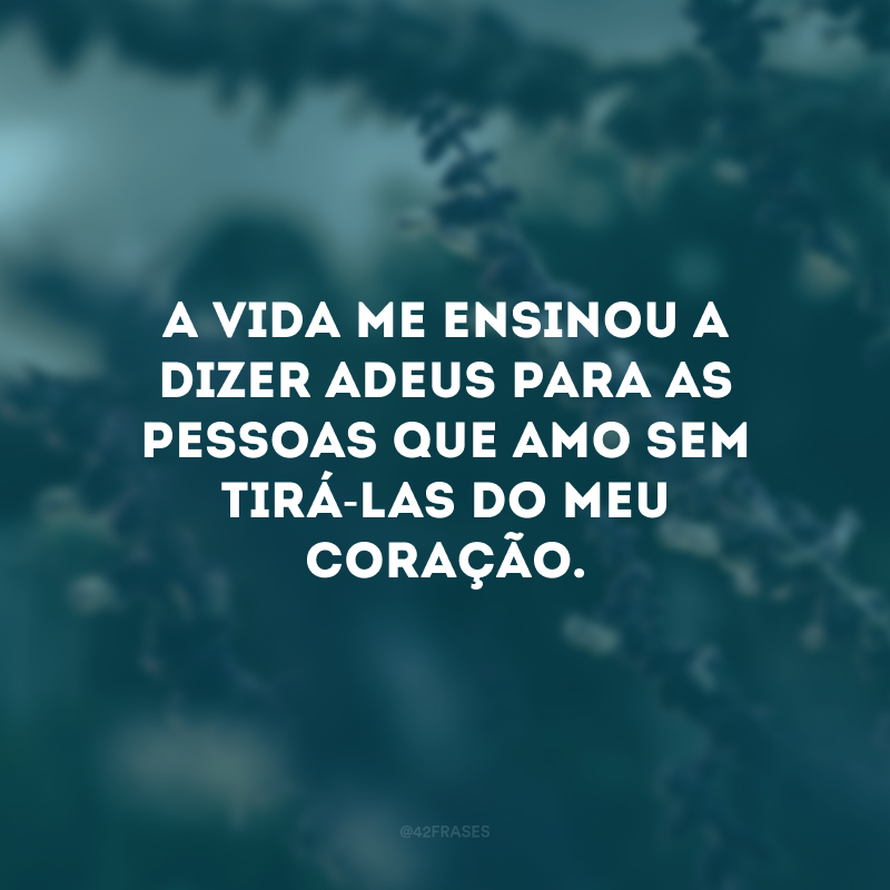 A vida me ensinou a dizer adeus para as pessoas que amo sem tirá-las do meu coração. 