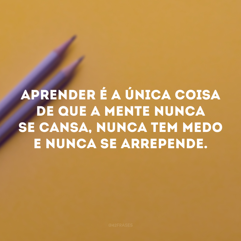 Aprender é a única coisa de que a mente nunca se cansa, nunca tem medo e nunca se arrepende.