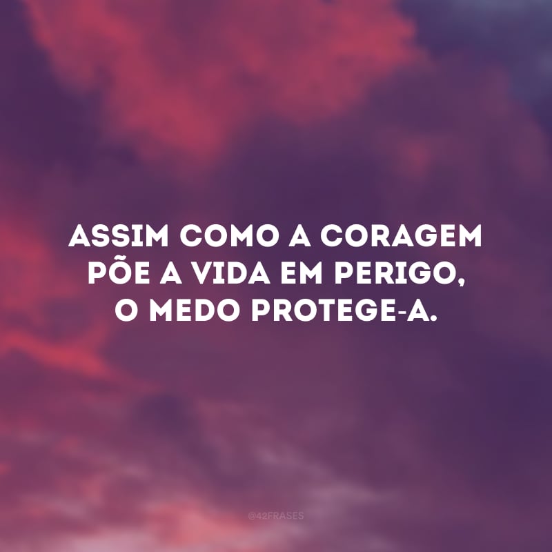 Assim como a coragem põe a vida em perigo, o medo protege-a.