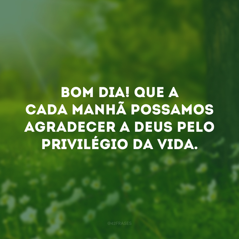 Bom dia! Que a cada manhã possamos agradecer a Deus pelo privilégio da vida.