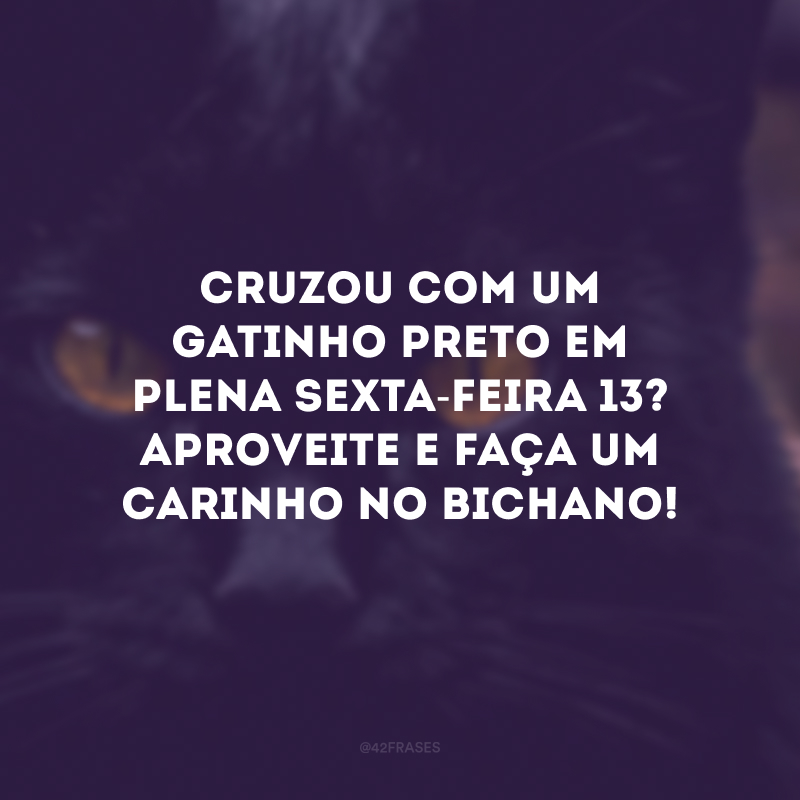 Cruzou com um gatinho preto em plena sexta-feira 13? Aproveite e faça um carinho no bichano! Afinal, azar é de quem maltrata os animais. 