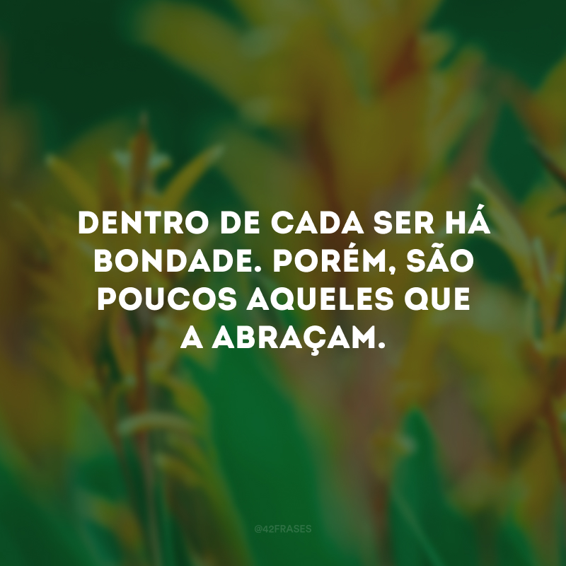 Dentro de cada ser há bondade. Porém, são poucos aqueles que a abraçam. 