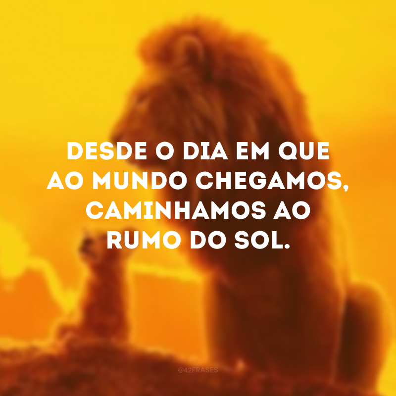 Desde o dia em que ao mundo chegamos, caminhamos ao rumo do sol.