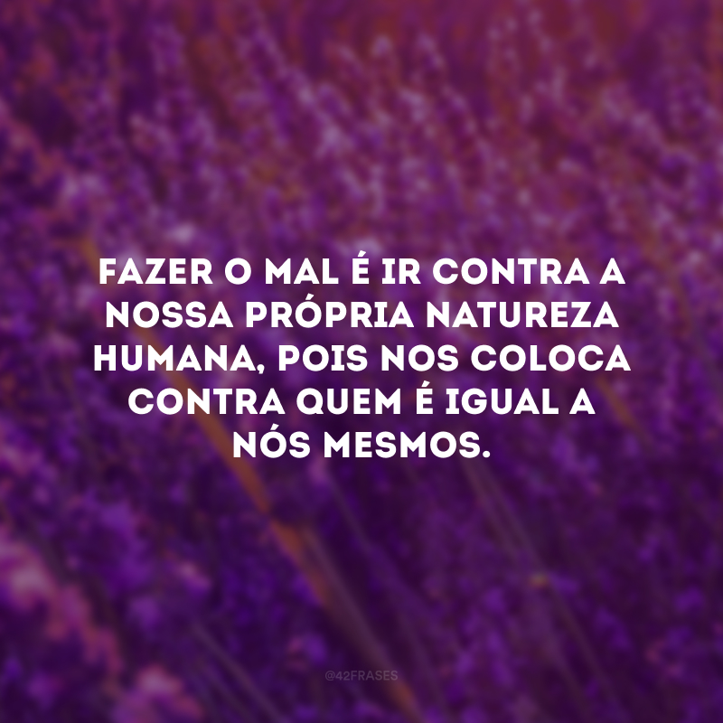 Fazer o mal é ir contra a nossa própria natureza humana, pois nos coloca contra quem é igual a nós mesmos.