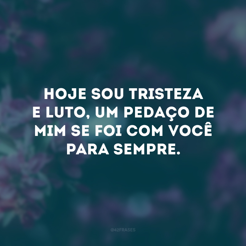 Hoje sou tristeza e luto, um pedaço de mim se foi com você para sempre. 
