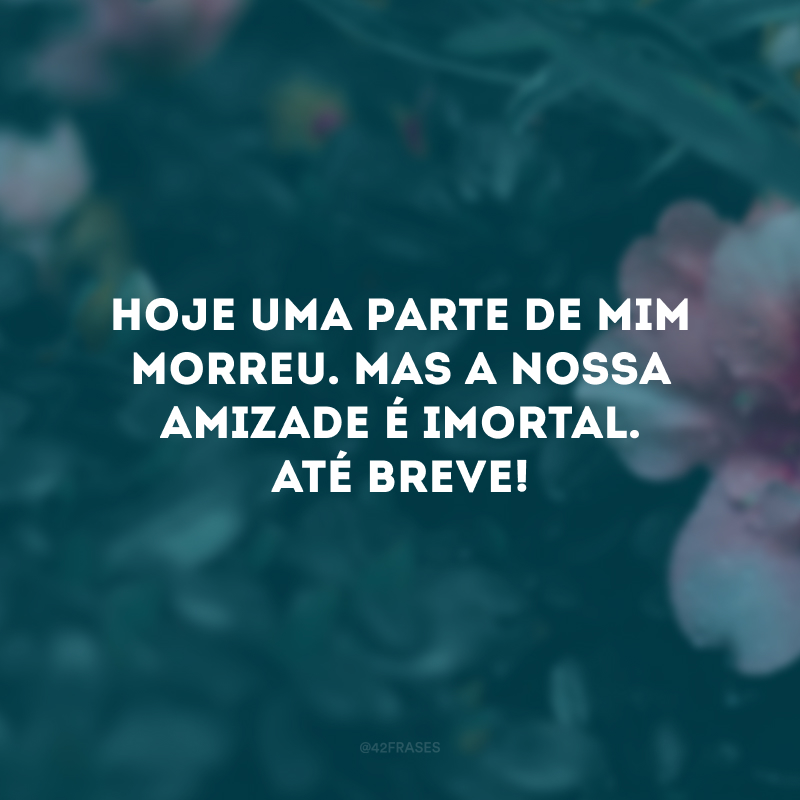 Hoje uma parte de mim morreu. Mas a nossa amizade é imortal. Até breve!