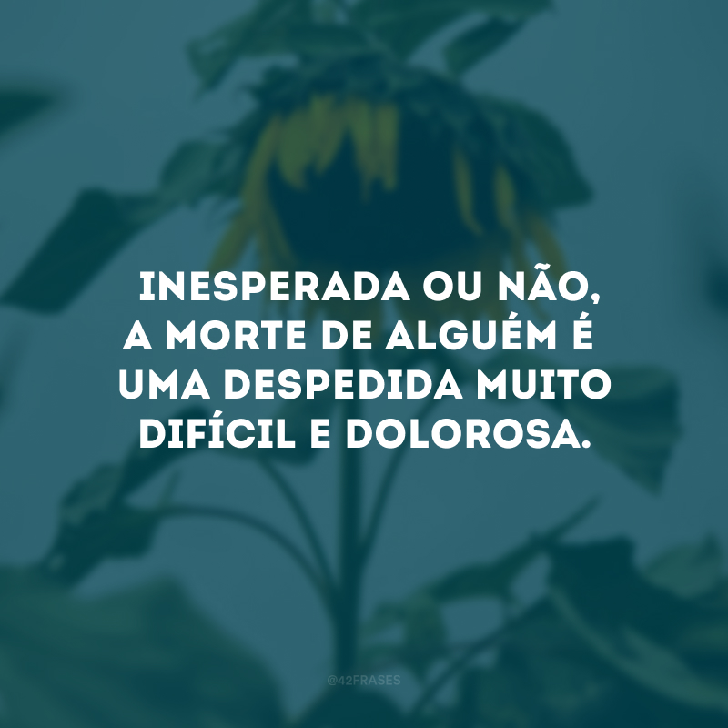 Inesperada ou não, a morte de alguém é uma despedida muito difícil e dolorosa. 