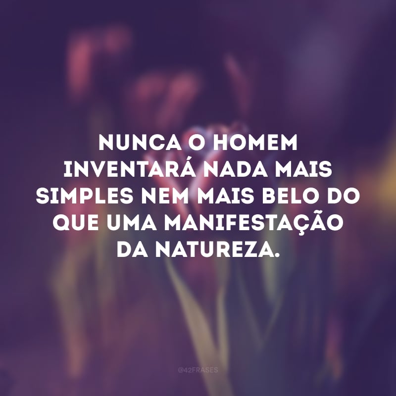 Nunca o homem inventará nada mais simples nem mais belo do que uma manifestação da natureza.