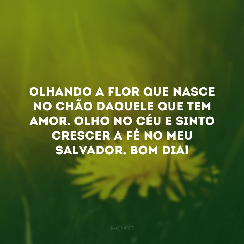 Olhando a flor que nasce no chão daquele que tem amor. Olho no céu e sinto crescer a fé no meu Salvador. Bom dia! 