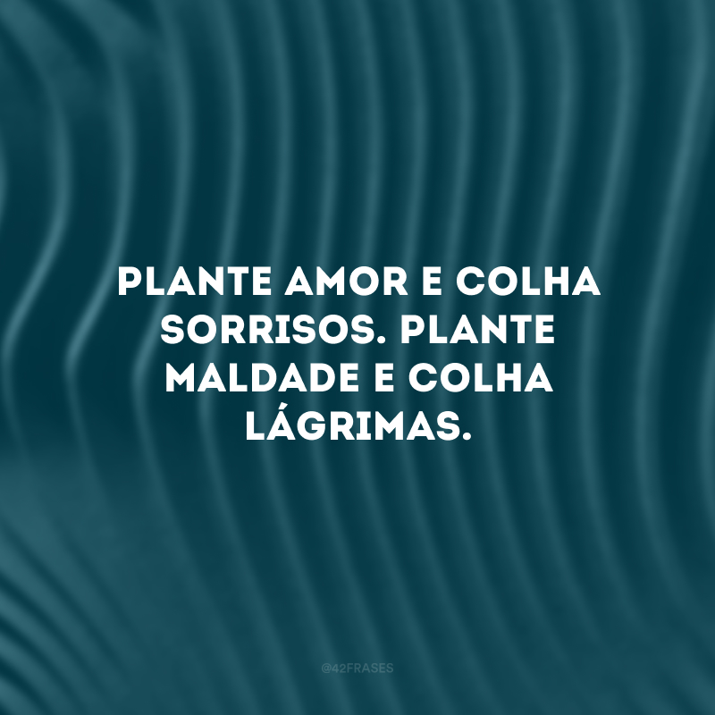 Plante amor e colha sorrisos. Plante maldade e colha lágrimas. 