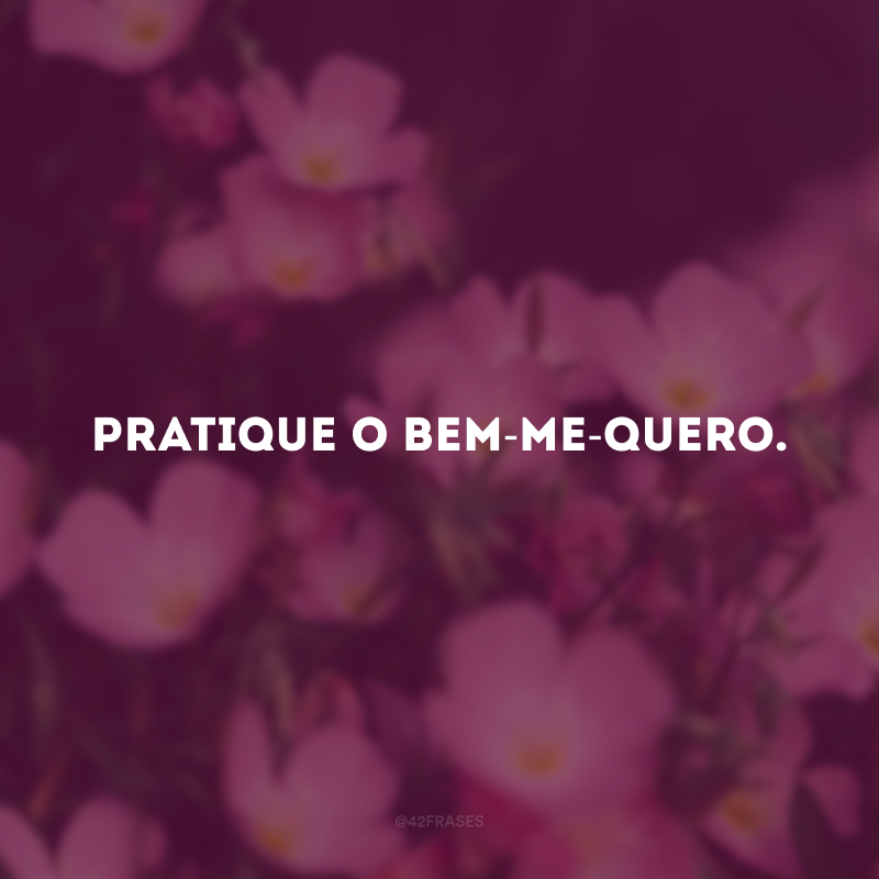 Pratique o bem-me-quero.