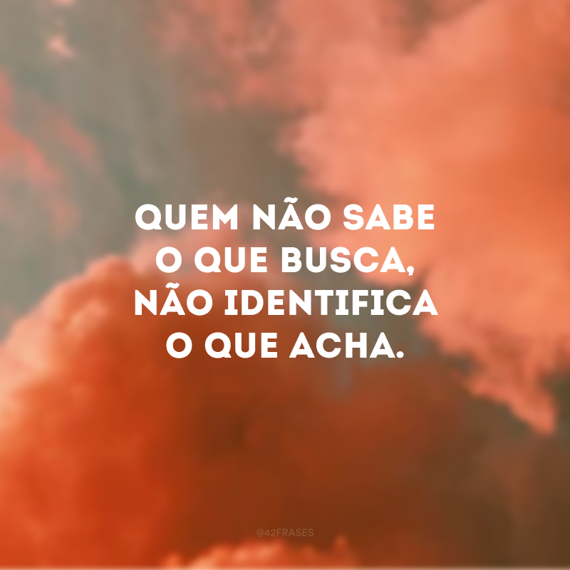 Quem não sabe o que busca, não identifica o que acha.