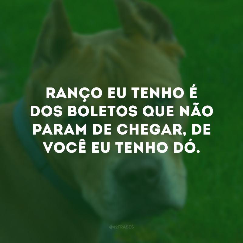 Ranço eu tenho é dos boletos que não param de chegar, de você eu tenho dó.