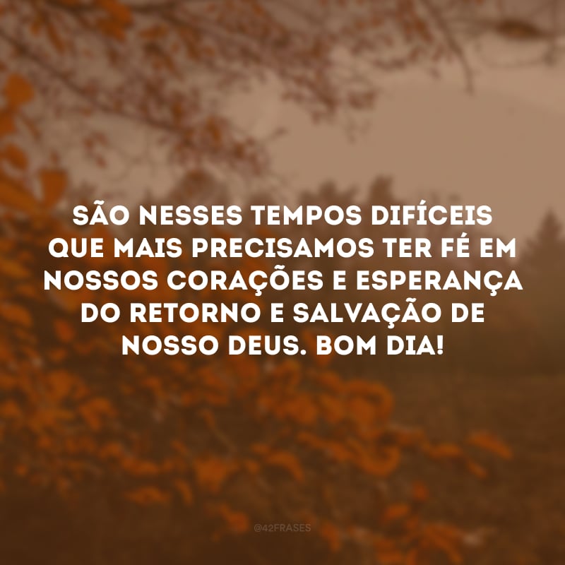 São nesses tempos difíceis que mais precisamos ter fé em nossos corações e esperança do retorno e salvação de nosso Deus. Bom dia!
