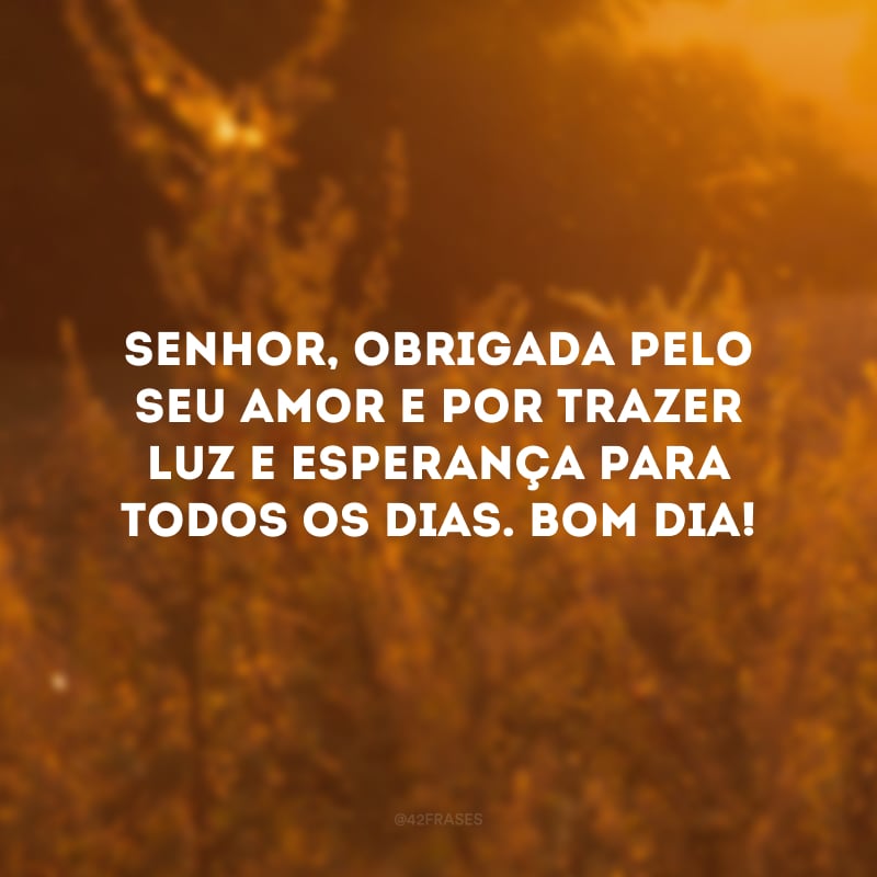 Senhor, obrigada pelo seu amor e por trazer luz e esperança para todos os dias. Bom dia!