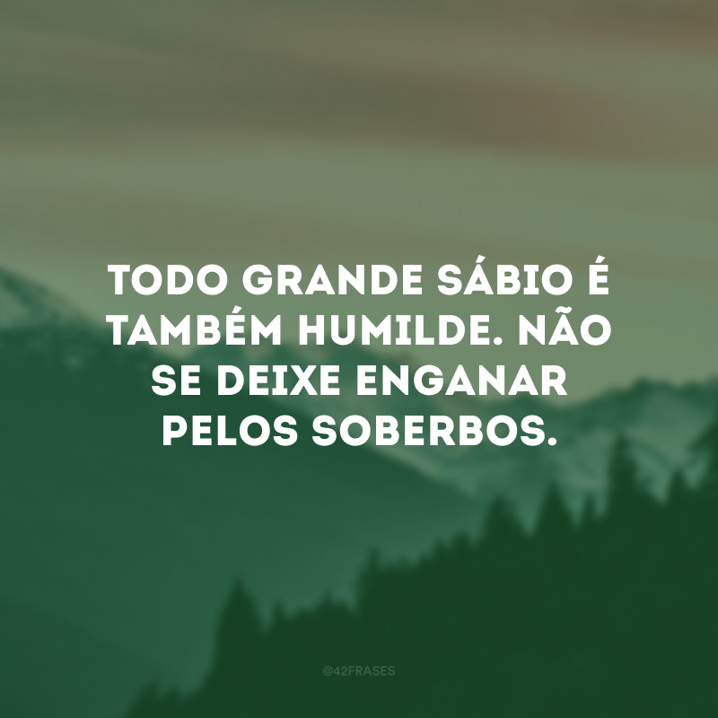 Todo grande sábio é também humilde. Não se deixe enganar pelos soberbos.