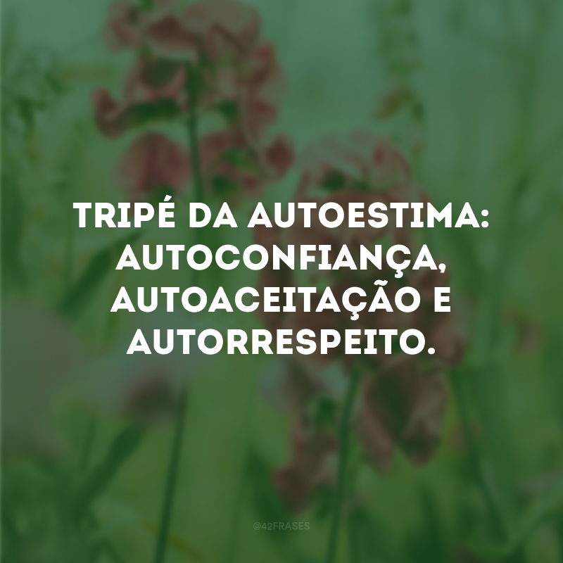 Tripé da autoestima: autoconfiança, autoaceitação e autorrespeito.