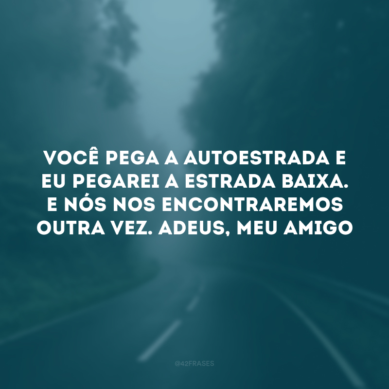 Você pega a autoestrada e eu pegarei a estrada baixa. E nós nos encontraremos outra vez. Adeus, meu amigo