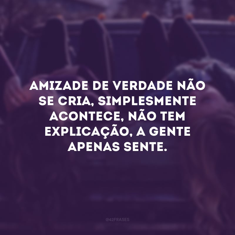 Amizade de verdade não se cria, simplesmente acontece, não tem explicação, a gente apenas sente. 