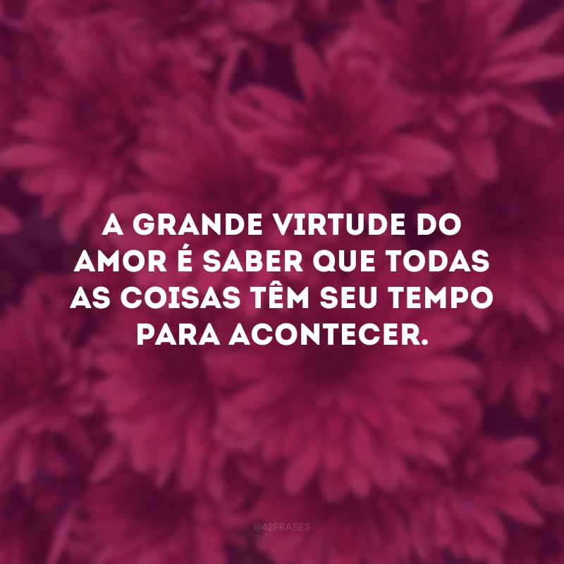 A grande virtude do amor é saber que todas as coisas têm seu tempo para acontecer. 