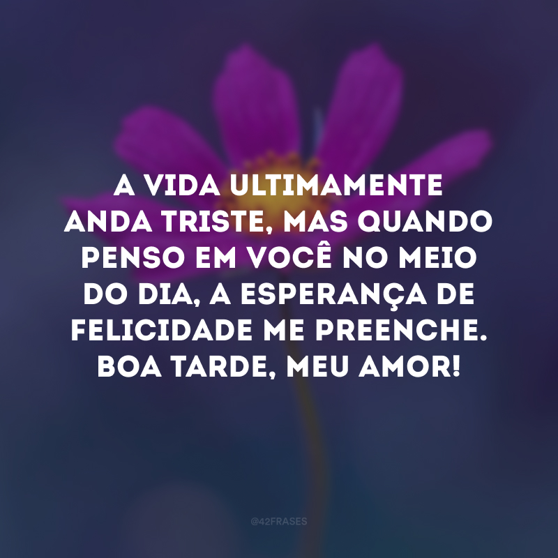 A vida ultimamente anda triste, mas quando penso em você no meio do dia, a esperança de felicidade me preenche. Boa tarde, meu amor! 
