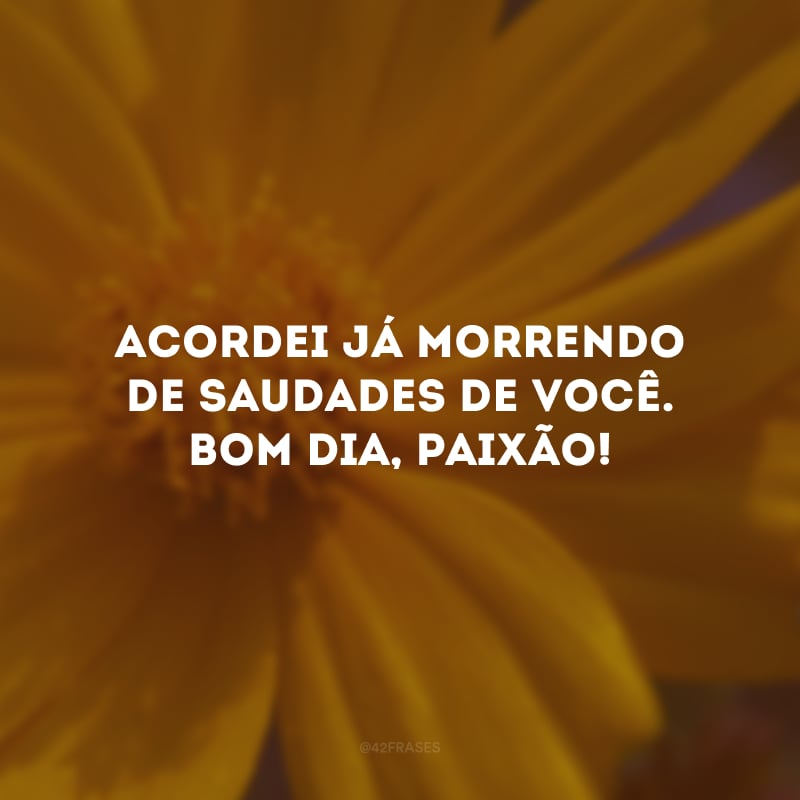 Acordei já morrendo de saudades de você. Bom dia, paixão!