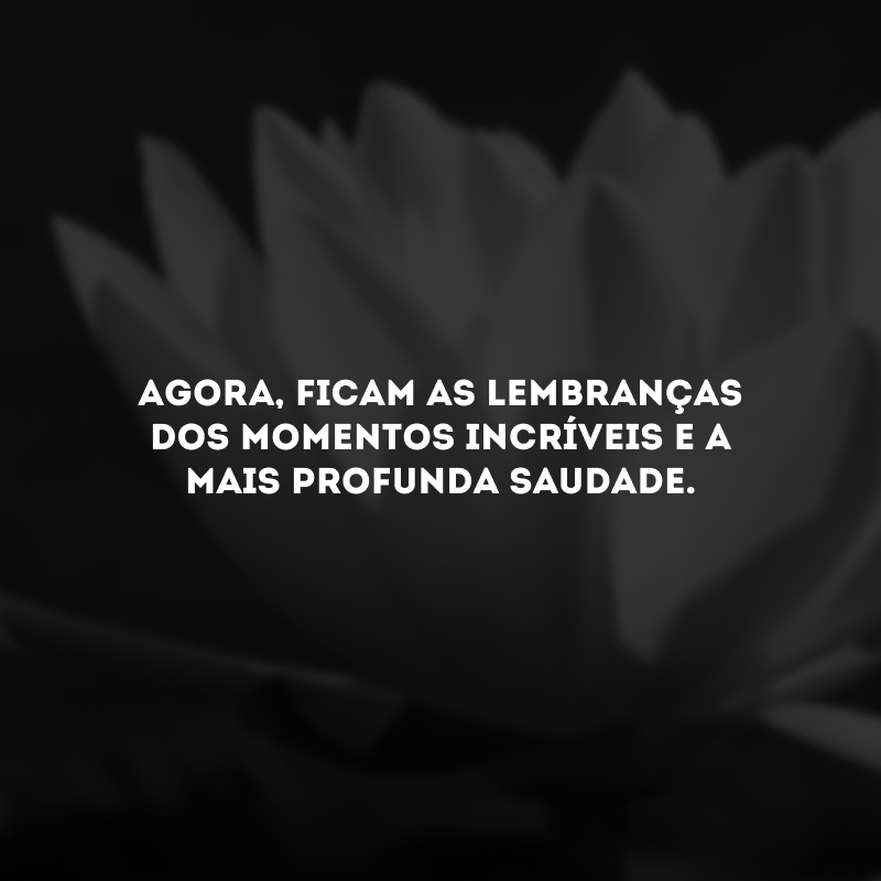 Agora, ficam as lembranças dos momentos incríveis e a mais profunda saudade.