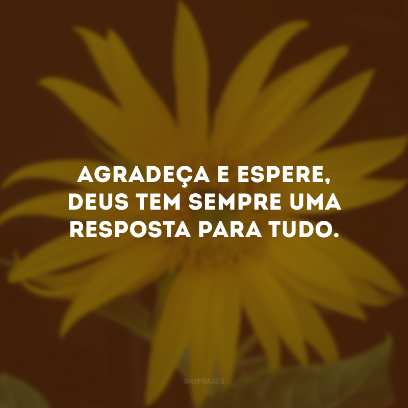 Agradeça e espere, Deus tem sempre uma resposta para tudo.