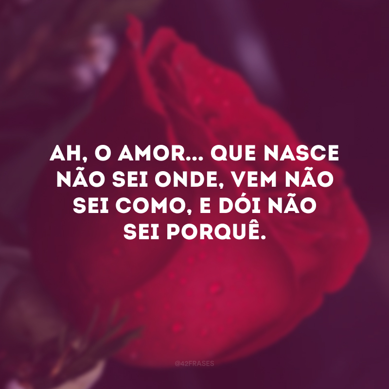 Amor um mal, que me mata e não se vê;

Que dias há que na alma me tem posto
Um não sei quê, que nasce não sei onde,
Vem não sei como, e dói não sei por quê.
