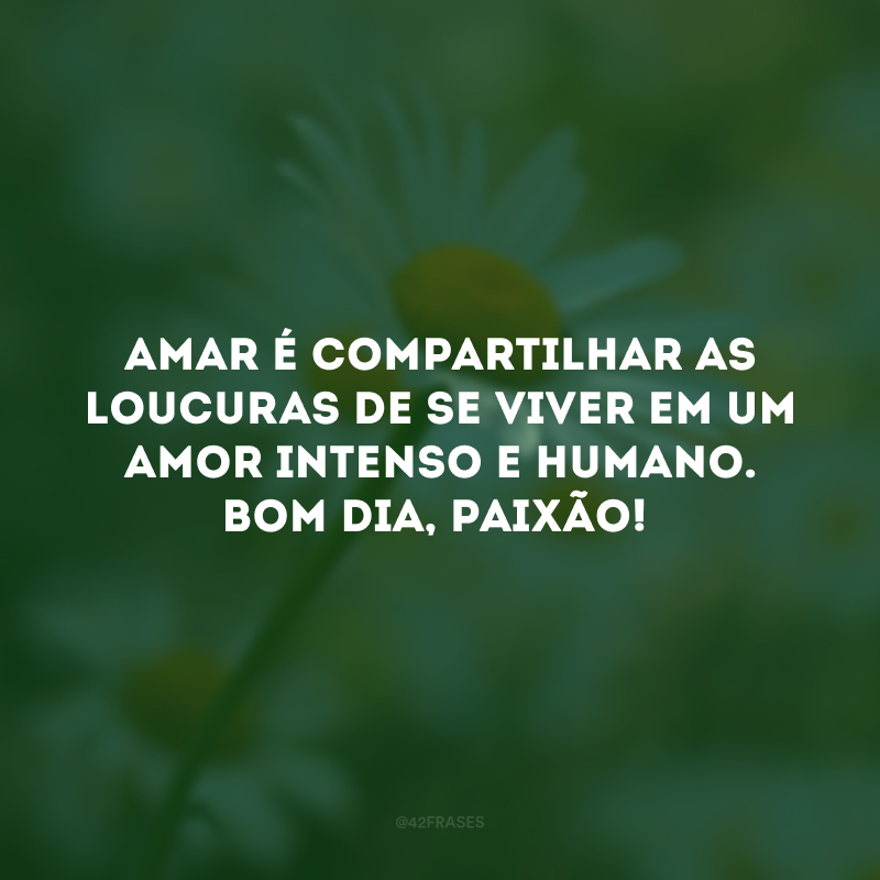 Amar é compartilhar as loucuras de se viver em um amor intenso e humano. Bom dia, paixão!
