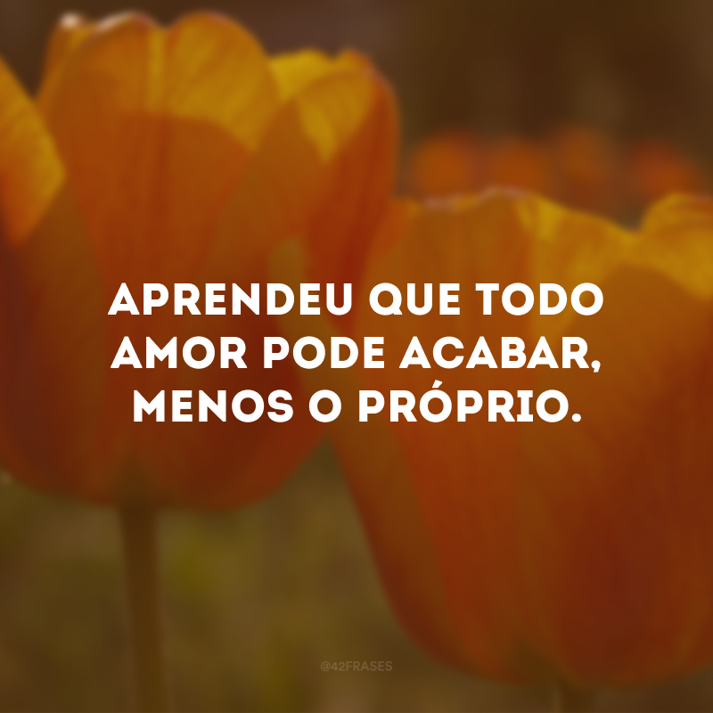 Aprendeu que todo amor pode acabar, menos o próprio.