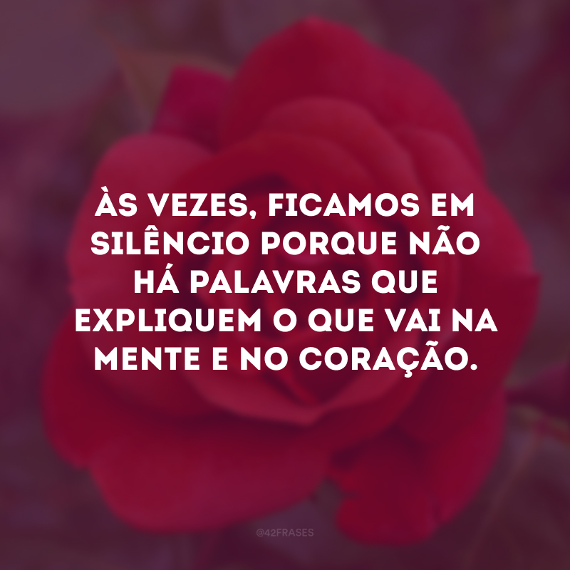 Às vezes, ficamos em silêncio, porque não há palavras que expliquem o que vai na mente e no coração. 