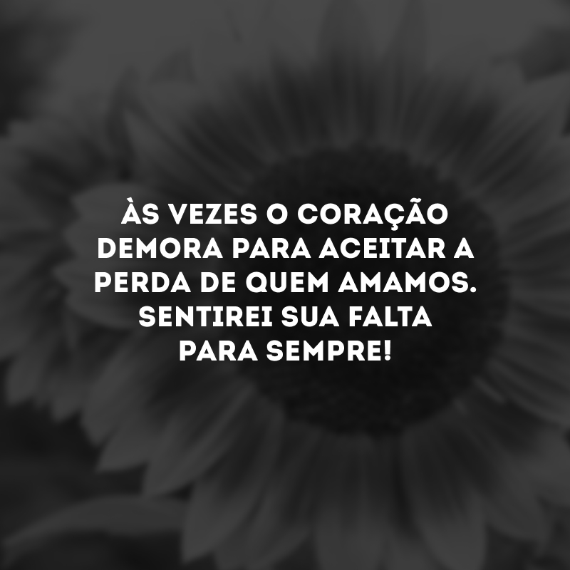 Às vezes o coração demora para aceitar a perda de quem amamos. Sentirei sua falta para sempre!