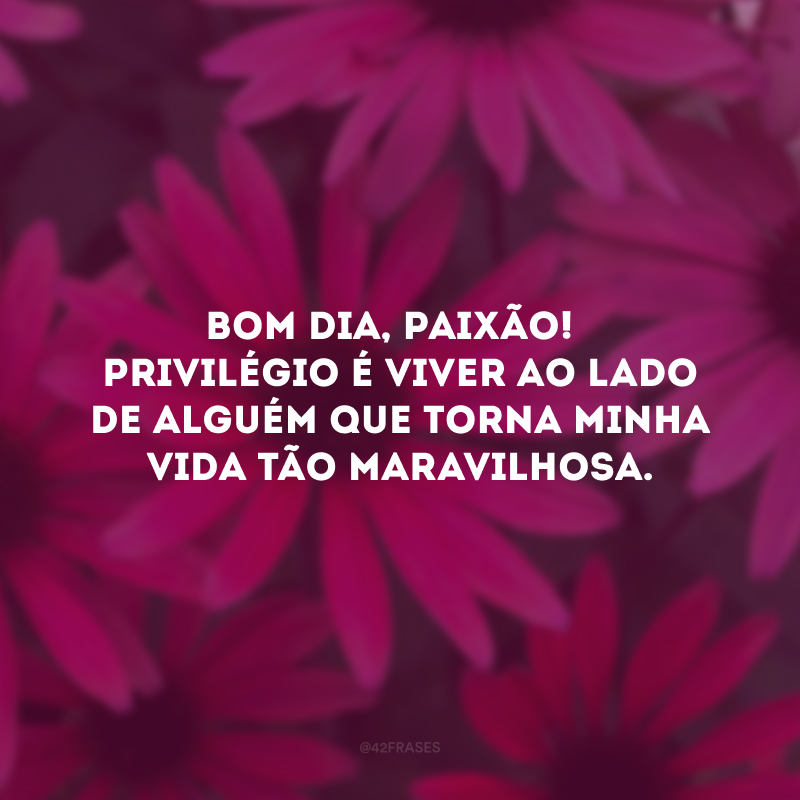 Bom dia, paixão! 
Privilégio é viver ao lado de alguém que torna minha vida tão maravilhosa.