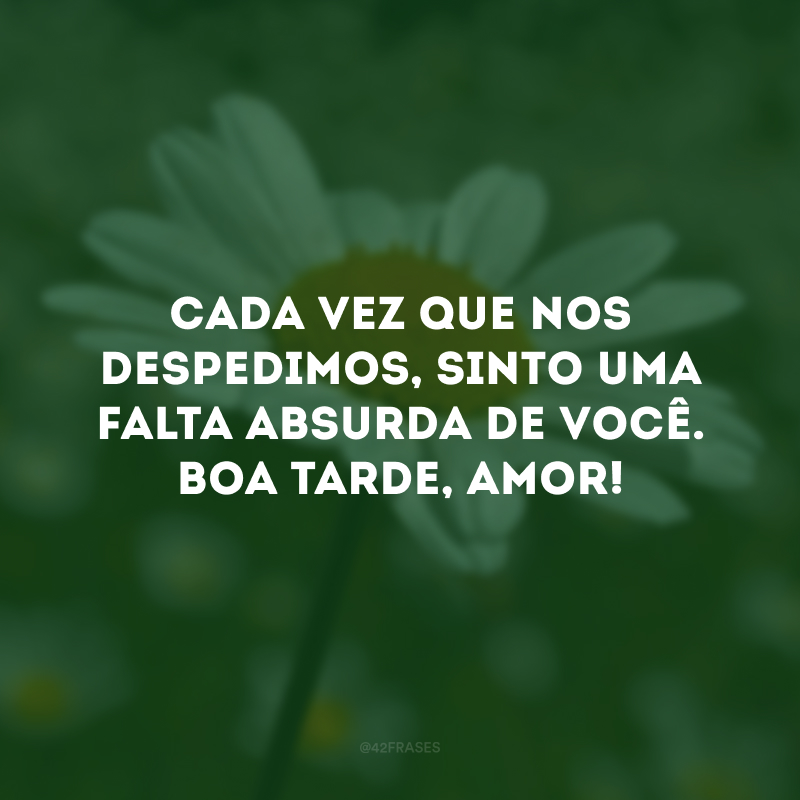 Cada vez que nos despedimos, sinto uma falta absurda de você. Boa tarde, amor!