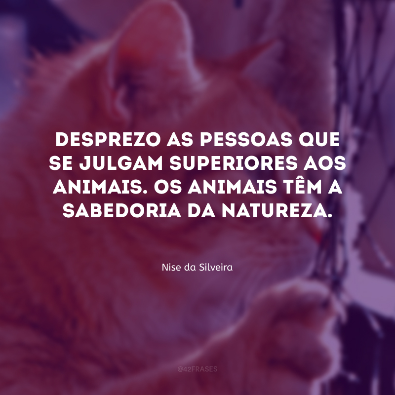 Desprezo as pessoas que se julgam superiores aos animais. Os animais têm a sabedoria da natureza.