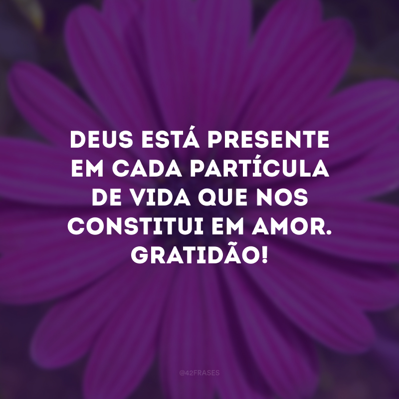 Deus está presente em cada partícula de vida que nos constitui em amor. Gratidão!