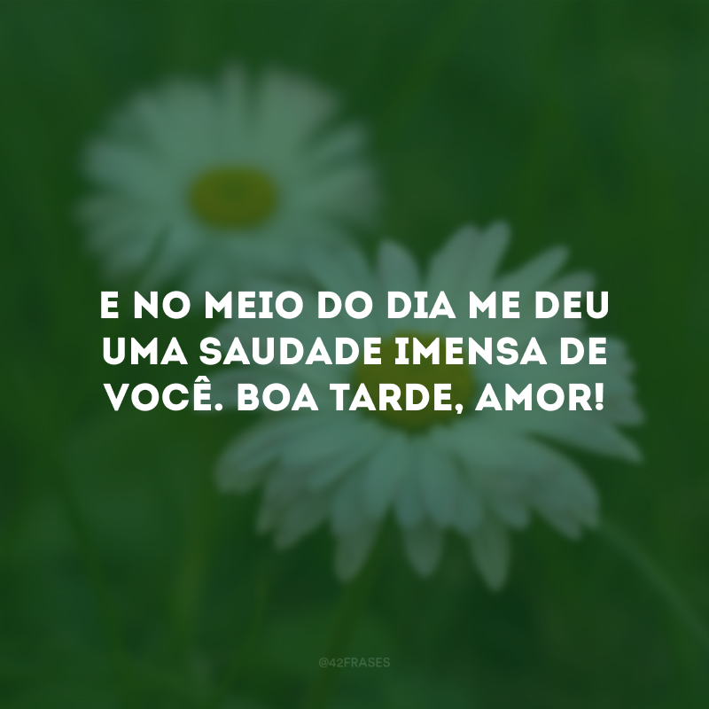 E no meio do dia me deu uma saudade imensa de você. Boa tarde, amor!