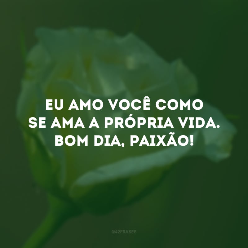 Eu amo você como se ama a própria vida. Bom dia, paixão! 