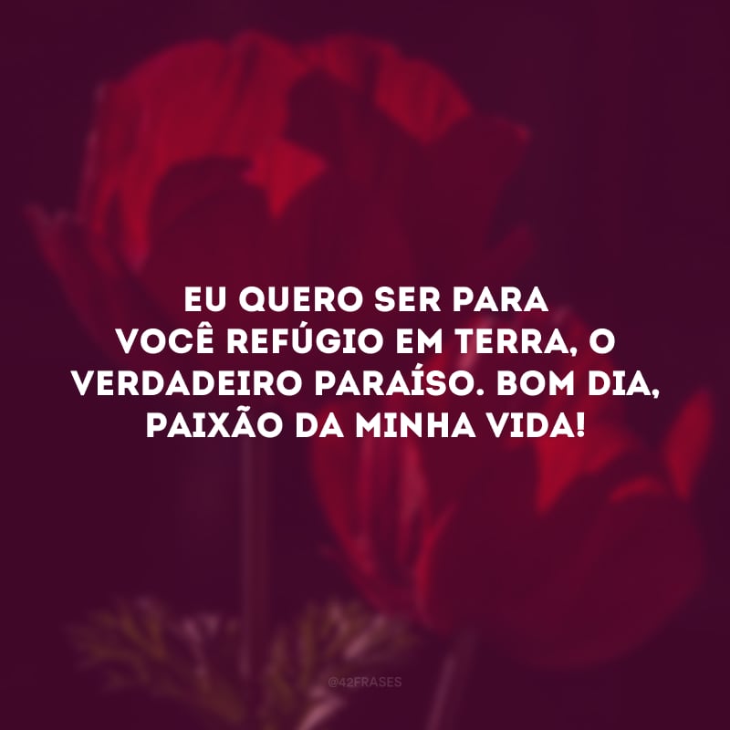 Eu quero ser para você refúgio em terra, o verdadeiro paraíso. Bom dia, paixão da minha vida!
