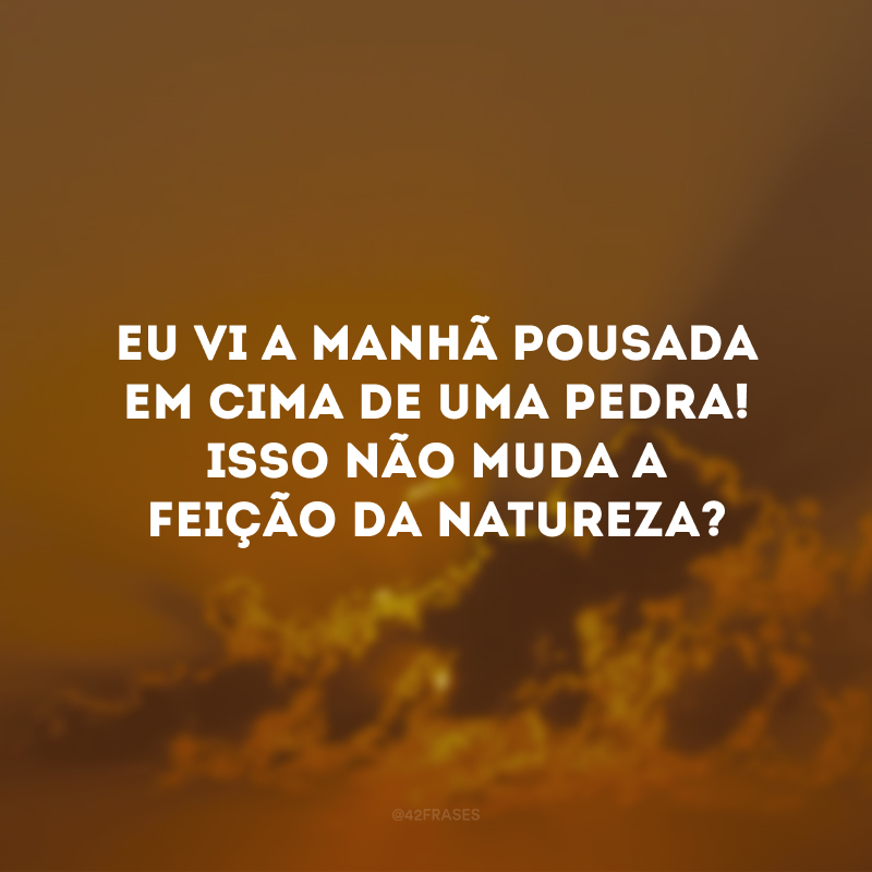 Eu vi a manhã pousada em cima de uma pedra! Isso não muda a feição da natureza?